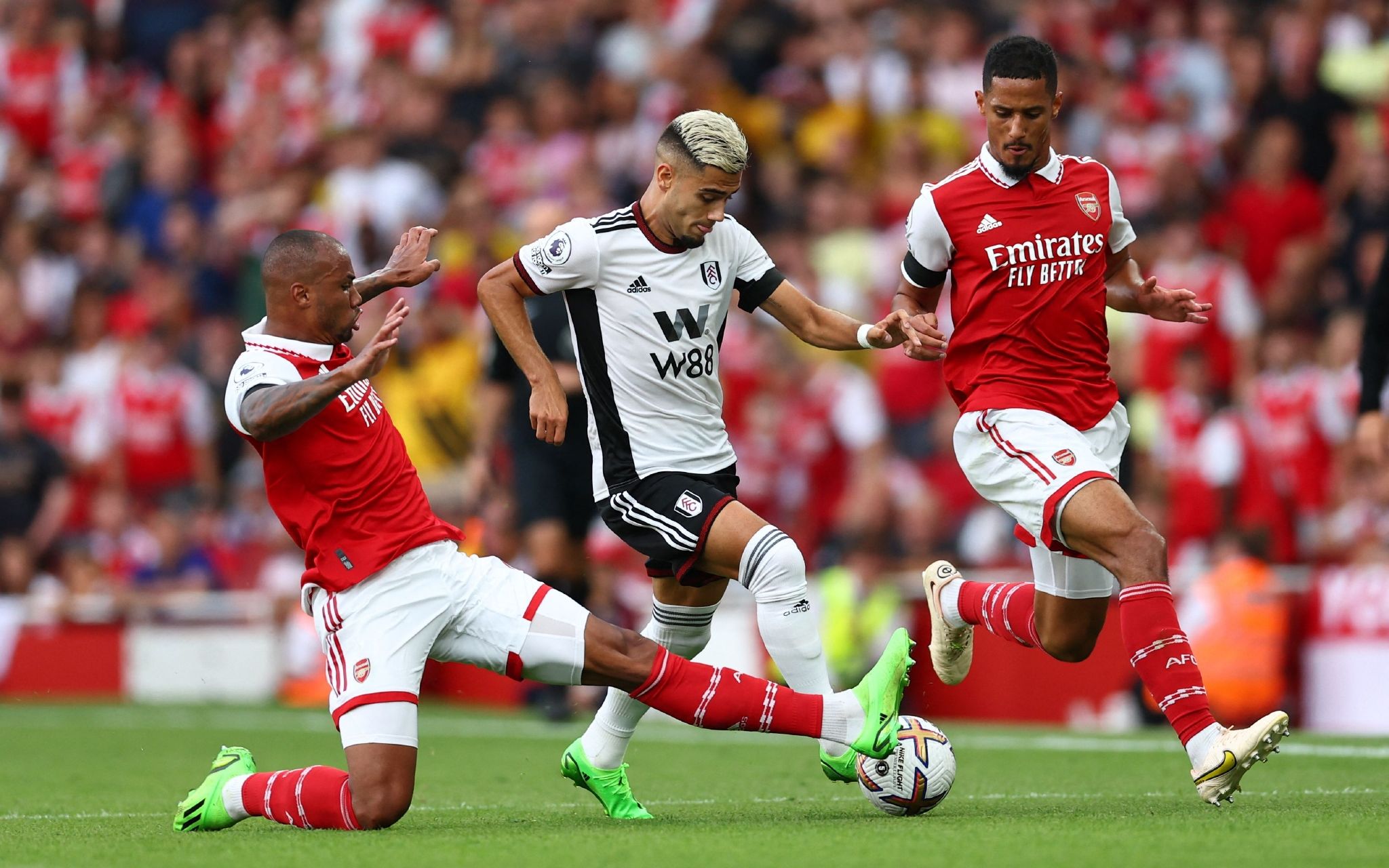 青岛展现五 青岛展现五